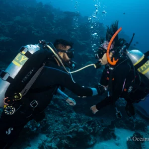 Open Water Diver Course