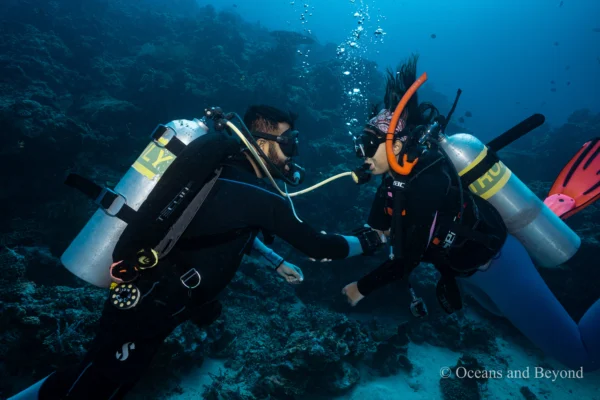 Open Water Diver Course