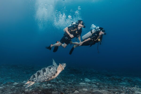 Discover Scuba Diving