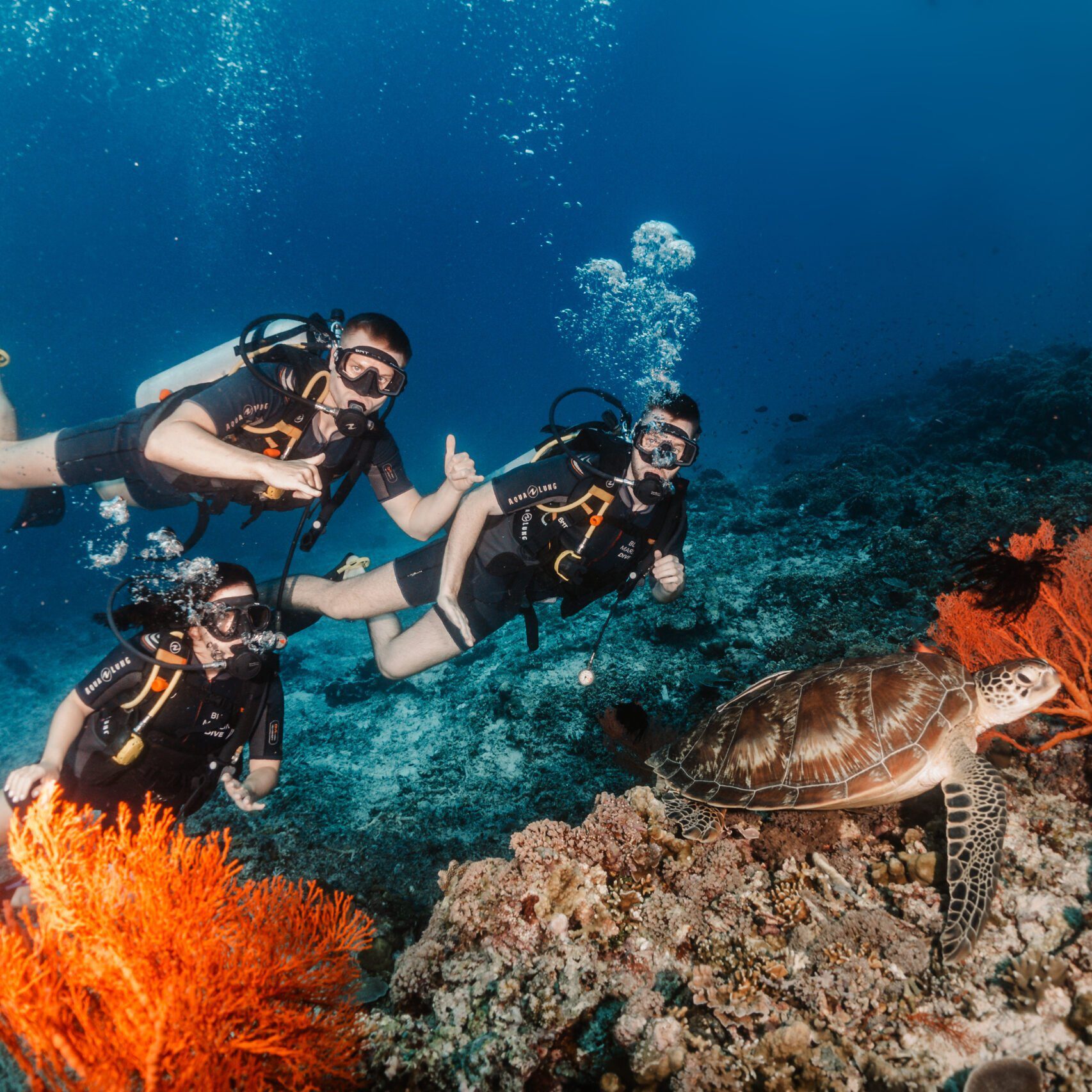 blue marlin dive