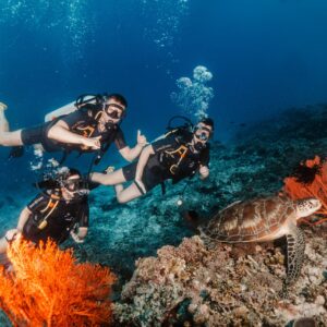 gili dive trip